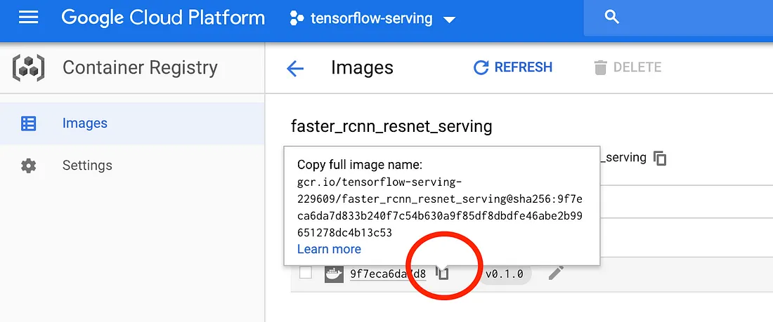 find your docker full image name on google container registry