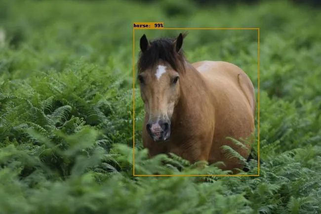 expected inference with our object detection model
