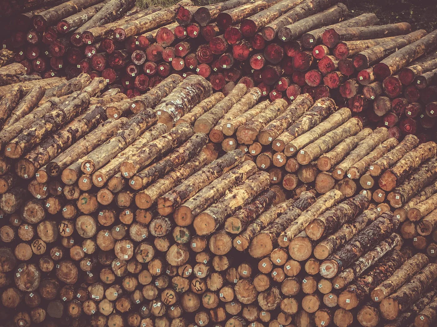 Empilement de rondins de bois.
